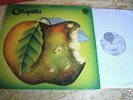 CATAPILLA SAME LP 1971 FOC IM SUPER ZUSTAND GIGA RARE