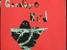 ANIMAL COLLECTIVE Hollindagain LP HANDMADE COVERS LIVE