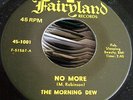 Rare garage: MORNING DEW: NO MORE (Fairyland) Hear it