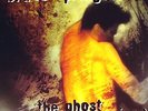BRUCE SPRINGSTEEN The Ghost of Tom Joad Color Vinyl LP