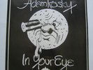 ADAMKOSKY In Your Eye  private folk psych
