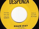 Northern Soul 45 IVORYS Please Stay on Despenza