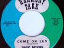 rare Surf Garage 45 DAVE MYERS come on luv HARMONY PARK