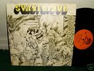 SVANFRIDUR prog PSYCH whats hidden there. lp