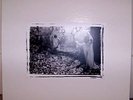 SUNN Whitebox white box OOP 4 LP boris isis earth