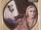 NIRVANA JESUS LIZARD PUSS OH THE GUILT PICTURE DISC A+