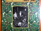 LEAVES HEY JOE INSANELY RARE ORIG MONO LP SURREY LABEL