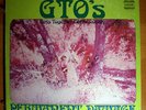 FRANK ZAPPA GTOs PERMANENT DAMAGE N/MINT ORIG LP w/BOOK