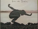EDDIE VEDDER INTO THE WILD VINYL LP+7