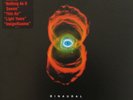 Pearl Jam Binaural 2 vinyl LP Album - adult owned