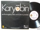 SPONTANEOUS MUSIC ENSEMBLE - Karyobin, pink eye Island