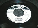 LISTEN - SOUL POPCORN -TROY DODDS TRY MY LOVE