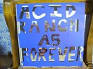 Guided by Voices GBV Acid Ranch As Forever  LP
