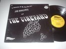 JOE ROSANOVA & THE VINEYARD Rare '68 Dreamy Psych Orig