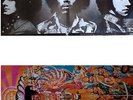 The Jimi Hendrix Experience vinyl Record mono 1967