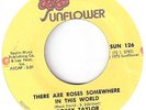 NORTHERN SOUL BOBBY TAYLOR  