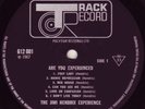 Jimi Hendrix Are You Experienced UK MONO Pressing LP