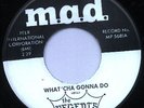 Regents - What'cha gonna do - m.a.d - LISTEN