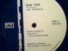 THE RADICALS - RUM TREE - ROOTS 12