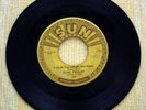 ELVIS PRESLEY ROCKABILLY SUN 45 RPM RECORD #217
