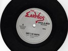 THE EARWIGS 