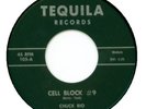 CHUCK RIO & INDIVIDUALS - TEQUILA 45 103- DOO WOP - NM