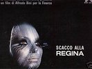 PICCIONI SCACCO ALLA REGINA FUNK BREAKS SCAT MOD EX