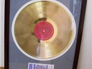 Bruce Springsteen Framed Gold LP Record +Concert Ticket