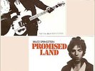 BRUCE SPRINGSTEEN: 2 Rare Irish 45 rpm Picture Sleeves