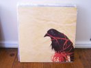 Death Cab for Cutie Transatlanticism 2LP 180 gr rock