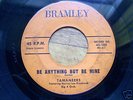 RARE DOO WOP BY THE TAMANEERS ON BRAMLEY  LABEL #45-102