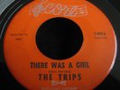 RARE GARAGE BAND 45 THE TRIPS ON SCORE - LISTEN