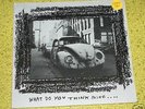 GREEN DAY Skene Records WHAT DO YOU THINK MIKE 45 EP 7