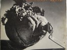NATTURA Magic Key  Iceland prog psych LP HEAR