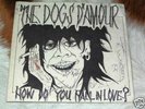 Dogs d Amour -How do you fall in love-7
