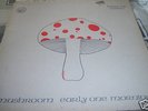 Mushroom Early One Morning Irish Prog / Folk Rock LP 73