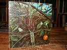 DRAGONFLY SELF TITLED HEAVY FUZZ PSYCH LP '68 MEGAPHONE
