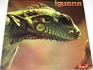 IGUANA Orig VERY RARE UK 1972. 'Lost' Polydor Prog Gem
