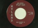 BIG DADDY G r&r 45 BIG BERRY HYLAND