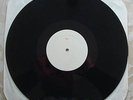 punk /SCREECHING WEASEL : My Brain Hurts  TEST PRESS lp