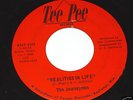 The Journeymen 45 RARE WI garage fuzz TEE PEE 1968