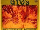 ZAPPA THE GTO’S PERMANENT DAMAGE LP WITH RARE BOOKLET