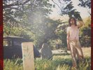 Ariel Pink's Haunted Graffiti Doldrums LP Rare OOP