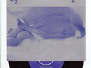 The Smiths - Hand In Glove - 1st 7