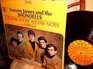 1967 RARE Shrink Wrap THE SHONDELLS   ALONE NOW Garage