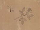 rare Private Modern Soul LP SMALLWOOD just 4 you Listen