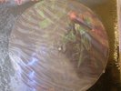 KAYAK Phantom Of The Night LP PICTURE DISC STILL SEALED