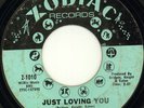 RUBY ANDREWS | JUST LOVING YOU | RARE NORTHERN SOUL 45