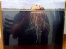 Mars Volta - Deloused in the Comatorium LP rare sealed