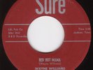 Wayne Williams RARE RAB 45 on Sure 1001 Red Hot Mama